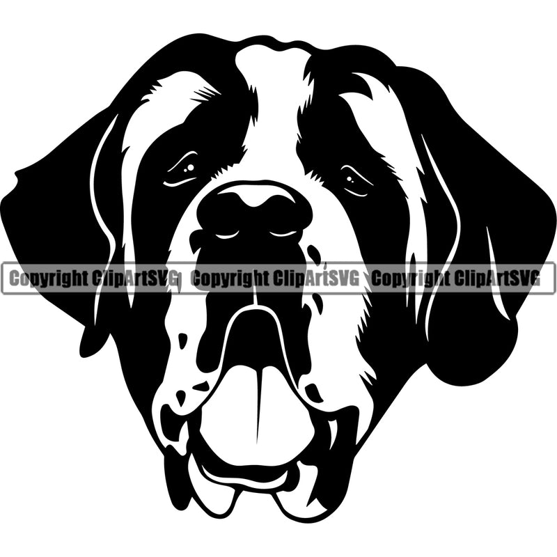 Saint Bernard Dog Head Design Animal Portrait Doggy Face Cute Puppy Pup Head Purebred Pedigree Canine K-9 K9 Vector Clipart SVG