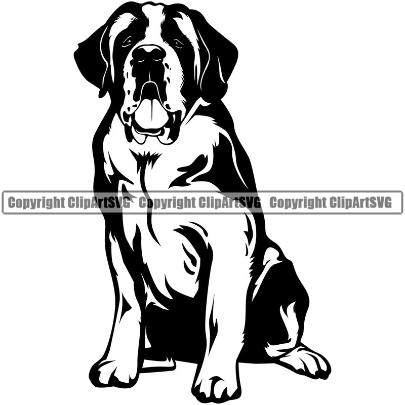 Saint Bernard Dog Sitting Position Design Puppy Pup K9 Animal Portrait Doggy Face Head Purebred Pedigree Canine K-9  Cute Vector Clipart SVG