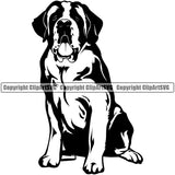 Saint Bernard Dog Sitting Position Design Puppy Pup K9 Animal Portrait Doggy Face Head Purebred Pedigree Canine K-9  Cute Vector Clipart SVG