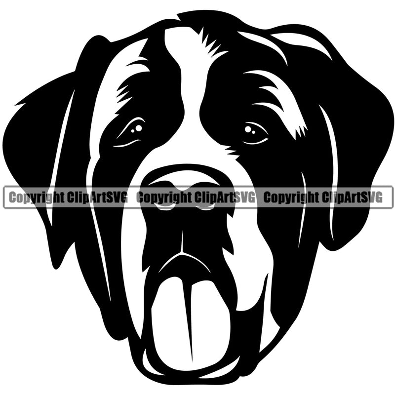 Saint Bernard Dog Smile Face Design Puppy Pup Purebred Pedigree Canine K-9 K9 Animal Portrait Face Cute Doggy Head Vector Clipart SVG