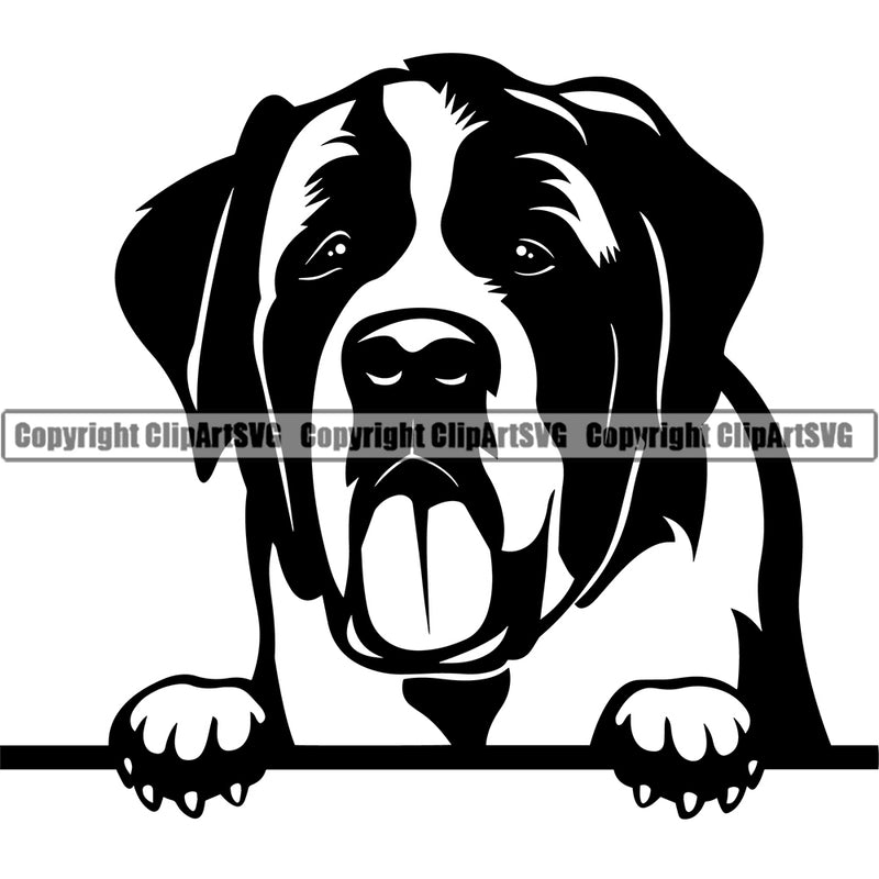 Saint Bernard Dog Peeking Design Puppy Pup K-9 K9 Animal Portrait Doggy Head Purebred Pedigree Canine Cute Vector Clipart SVG
