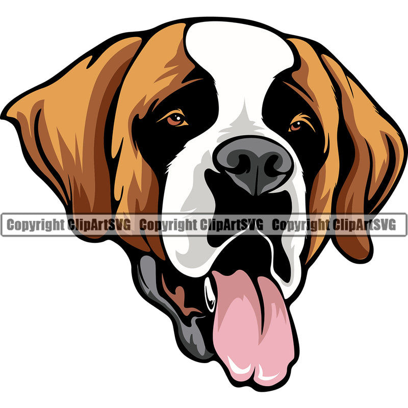 Saint Bernard Dog Yellow Color Head Design Puppy Pup Purebred Pedigree Portrait Doggy Face Cute Canine K-9 K9 Animal Vector Clipart SVG