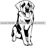 Saint Bernard Dog Smile Face Sitting Design Puppy Pup Head Purebred Pedigree Canine K-9 K9 Animal Doggy Face Cute Portrait Vector Clipart SVG
