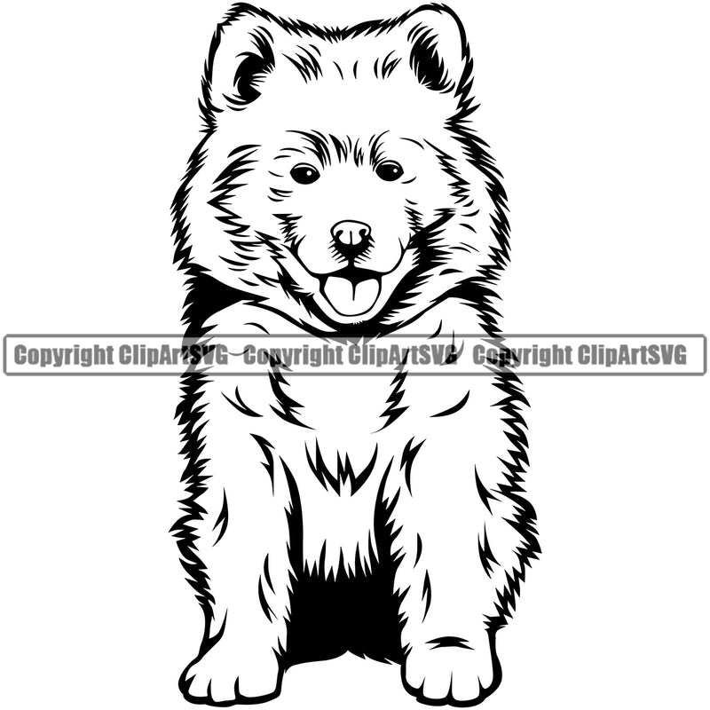 Samoyed Sitting Dog Smile Face Design Puppy Pup Head Purebred Pedigree Canine K-9 K9 Animal Portrait Doggy Face Cute Vector Clipart SVG