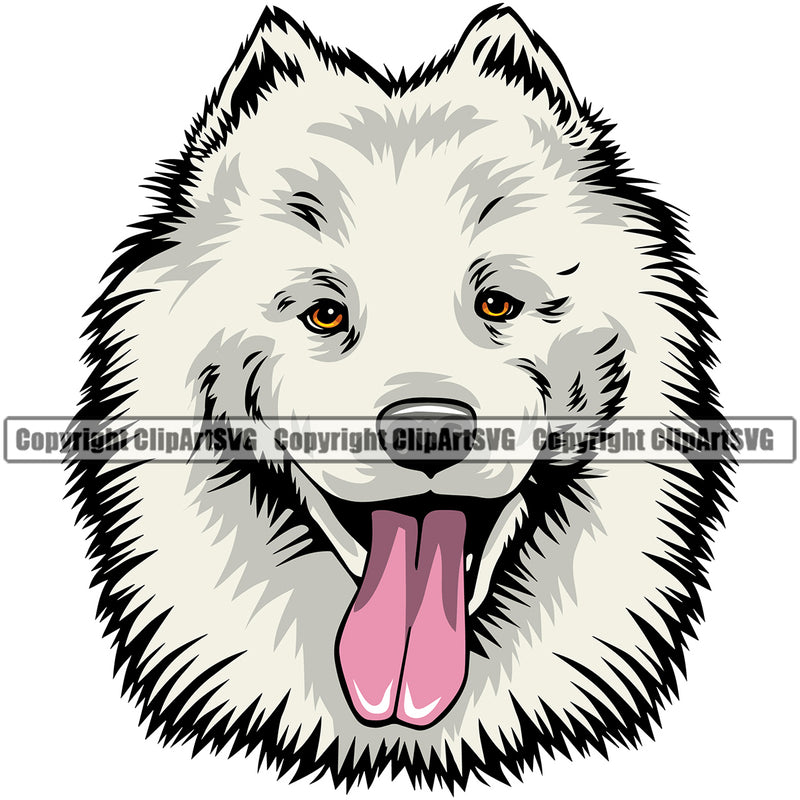 Samoyed Dog Smile Face Color Design Puppy Pup Head Purebred Pedigree Canine K-9 K9 Animal Portrait Doggy Face Cute Vector Clipart SVG