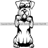 Schnauzer Dog Begging Design Smile Face Puppy Pup Head Purebred Pedigree Canine K-9 K9 Animal Portrait Doggy Face Cute Vector Clipart SVG