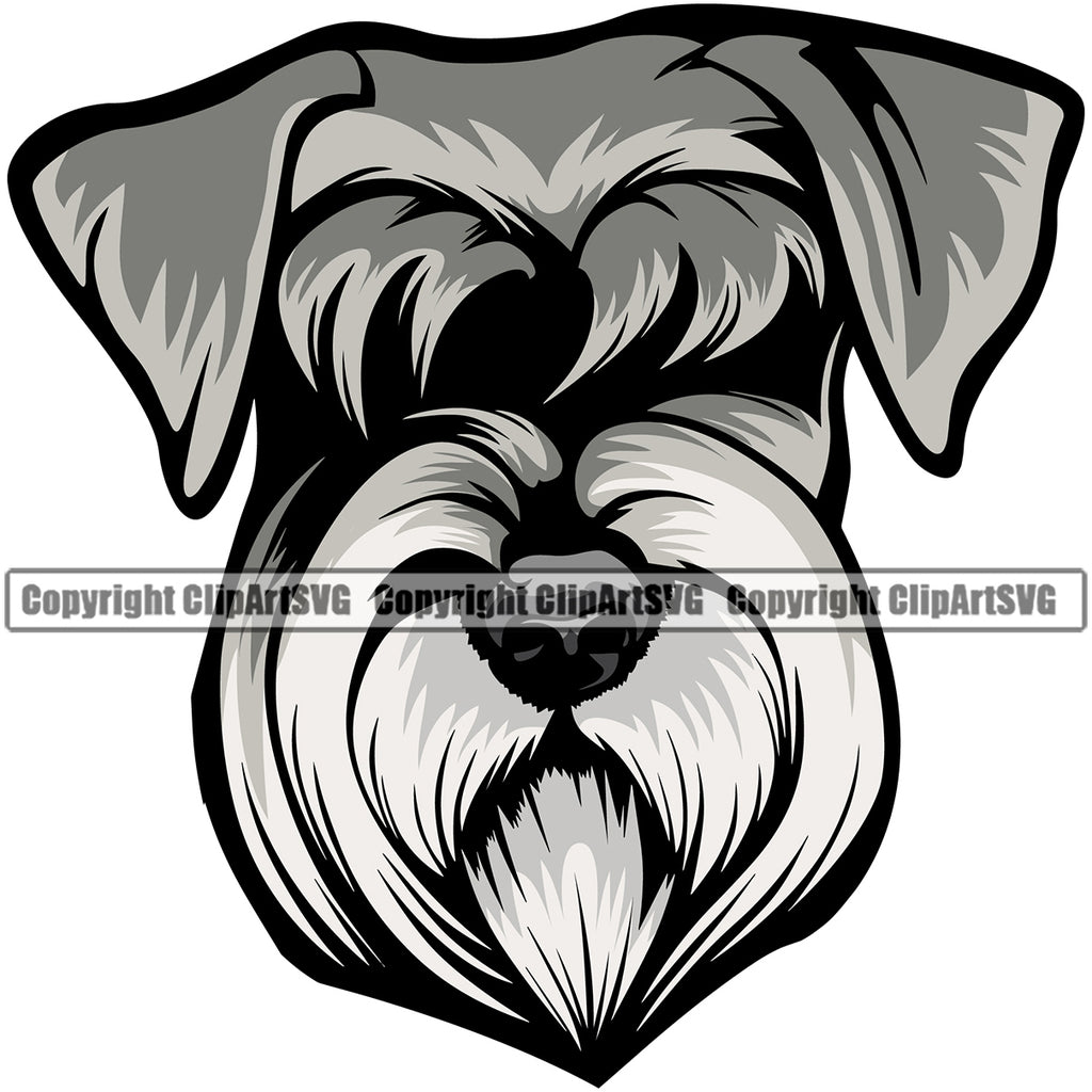 Schnauzer Dog Head Design Puppy Pup Head Pedigree Canine K-9 K9 Animal Portrait Doggy Face Cute Purebred Vector Clipart SVG