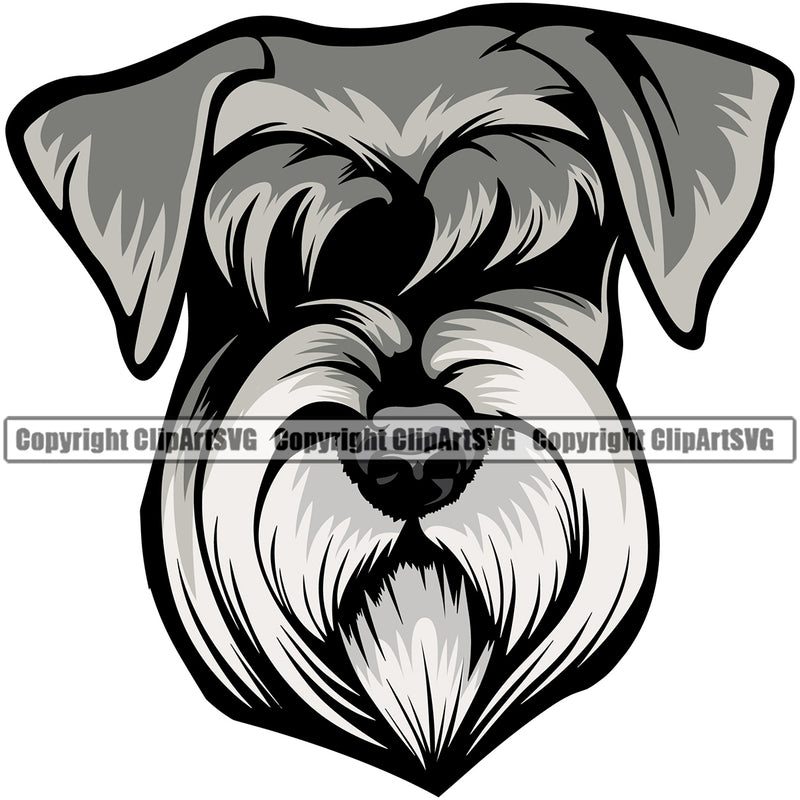 Schnauzer Dog Head Design Puppy Pup Head Pedigree Canine K-9 K9 Animal Portrait Doggy Face Cute Purebred Vector Clipart SVG