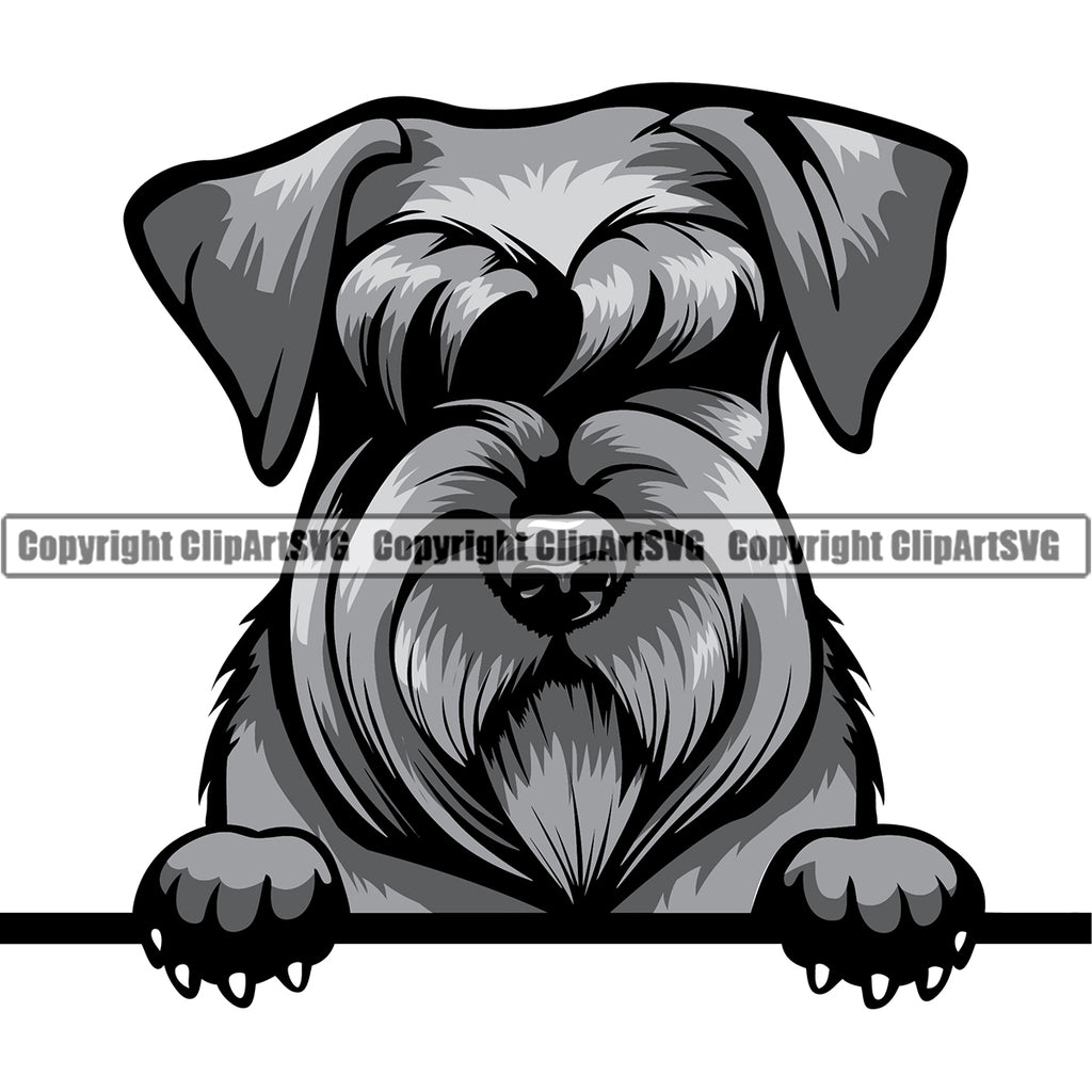 Schnauzer Dog Peeking Design Smile Face Puppy Pup Head Purebred Pedigree Canine K-9 K9 Animal Portrait Doggy Face Cute Vector Clipart SVG