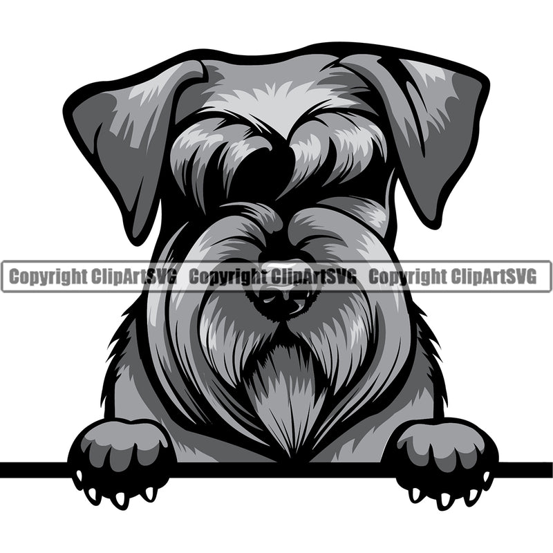 Schnauzer Dog Peeking Design Smile Face Puppy Pup Head Purebred Pedigree Canine K-9 K9 Animal Portrait Doggy Face Cute Vector Clipart SVG