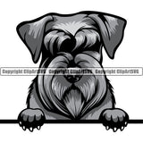 Schnauzer Dog Peeking Design Smile Face Puppy Pup Head Purebred Pedigree Canine K-9 K9 Animal Portrait Doggy Face Cute Vector Clipart SVG