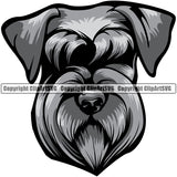 Schnauzer Dog Head Color Design Puppy Pup Head Pedigree Canine K-9 K9 Portrait Doggy Face Cute Vector Purebred Animal Clipart SVG