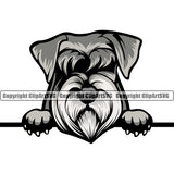 Schnauzer Dog Peeking Color Design Puppy Pup Head Purebred Pedigree Canine K-9 K9 Animal Portrait Doggy Face Cute Vector Clipart SVG