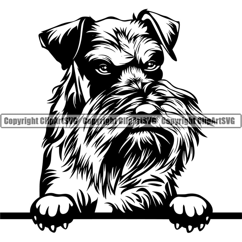 Schnauzer Dog Peeking Face Design Puppy Pup Head K-9 K9 Animal Portrait Doggy  Purebred Pedigree Canine Face Cute Vector Clipart SVG