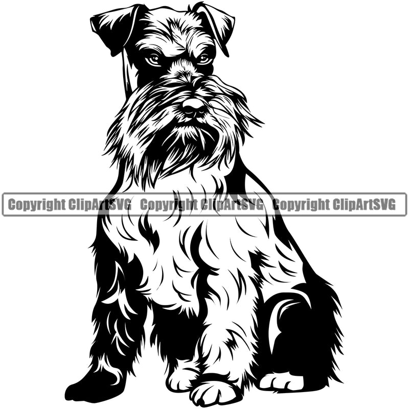 Schnauzer Dog Sitting Design Puppy Pup Head Purebred Pedigree Canine K-9 K9 Animal Portrait Doggy Face Cute Smile Face Vector Clipart SVG