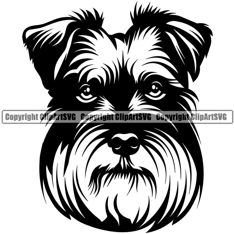Schnauzer Dog Head Design Design Puppy Pup Head Purebred Pedigree Canine K-9 K9 Animal Portrait Doggy Face Cute Vector Clipart SVG