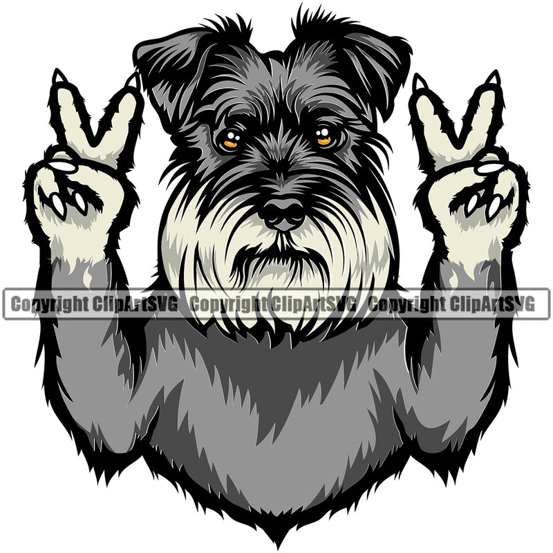 Schnauzer Dog Peace Hand Sign Design Puppy Pedigree Canine K-9 K9 Animal Portrait Doggy Face Cute Pup Head Purebred Vector Clipart SVG