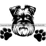 Schnauzer Dog Peeking Design Puppy Pup Pedigree Canine K-9 K9 Animal Portrait Doggy Face Cute Head Purebred Vector Clipart SVG