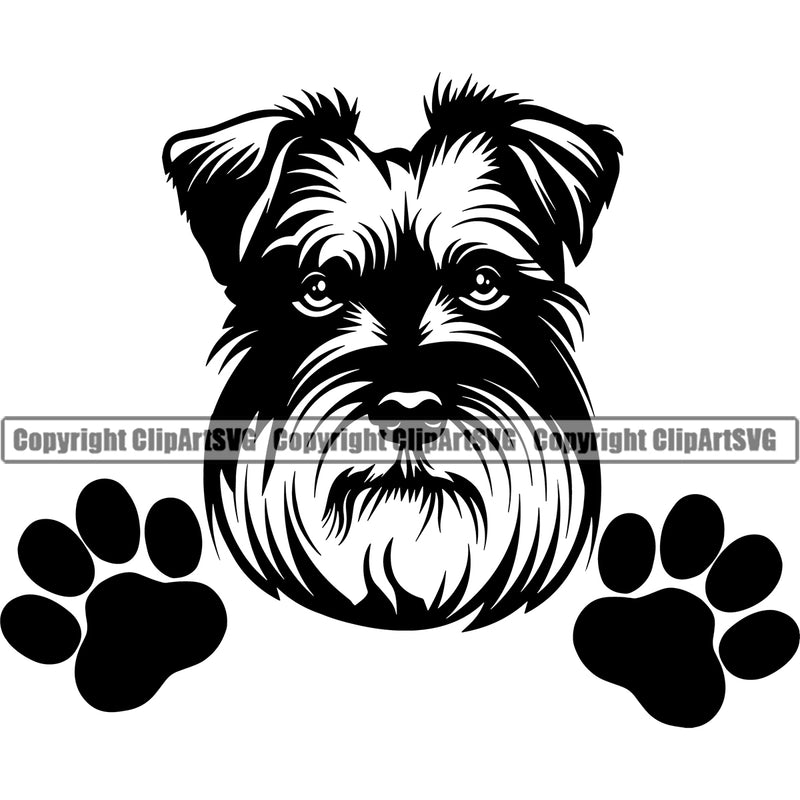 Schnauzer Dog Peeking Face Design Pup Head Purebred Pedigree Canine K-9 K9 Puppy Animal Portrait Doggy Face Cute Vector Clipart SVG