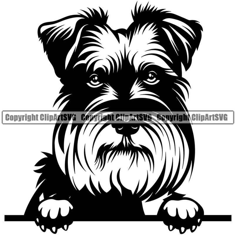Schnauzer Dog Peeking Design Puppy Pup Head Purebred Pedigree Canine K-9  Doggy Face Cute K9 Animal Portrait Vector Clipart SVG