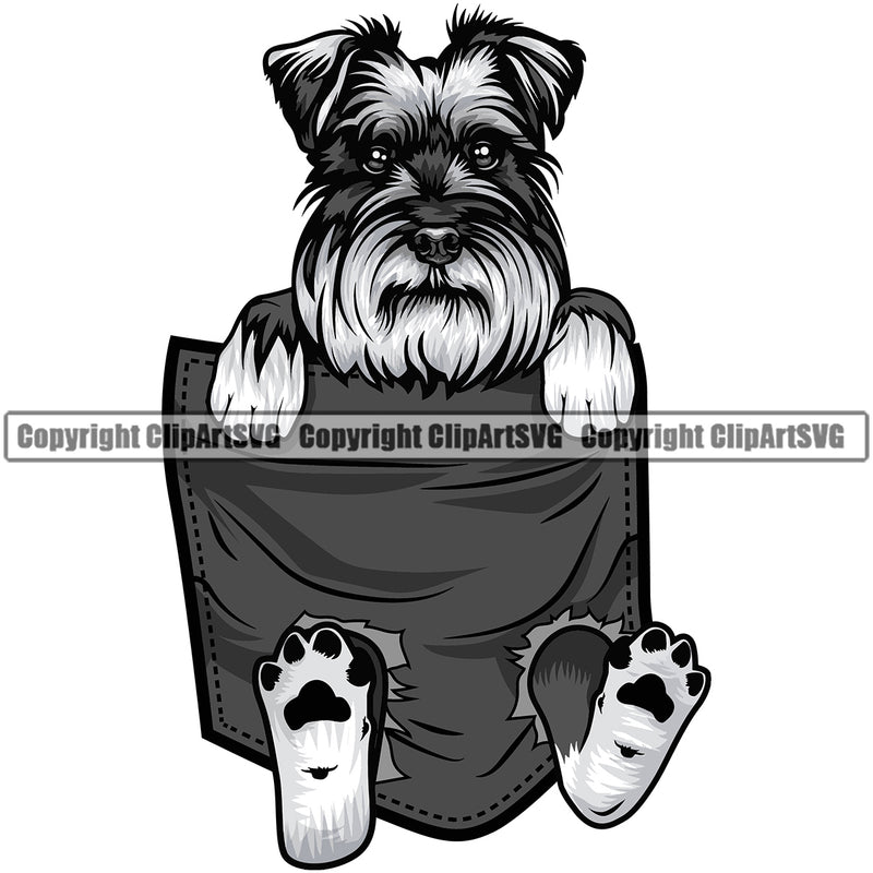 Schnauzer Dog Hanging From Shirt Pocket Design Puppy Tshirt T-Shirt Head Purebred Pedigree Canine K-9 K9 Animal Portrait Doggy Face Cute Vector Clipart SVG