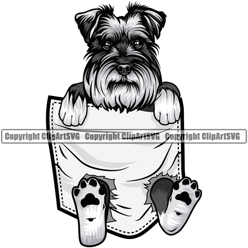 Schnauzer Dog Hanging From Shirt Pocket Design Puppy Pup Head Purebred Tshirt T-ShirtPedigree Canine K-9 K9 Animal Portrait Doggy Face Cute Vector Clipart SVG