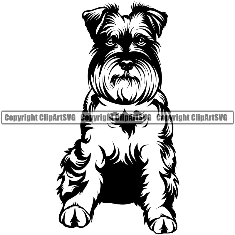Schnauzer Dog Sitting Design Puppy Pup Head Purebred Pedigree Canine K-9 K9 Animal Portrait Doggy Face Cute Vector Clipart SVG
