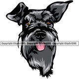 Schnauzer Dog Head Color Design Smile Face Puppy Pup Head Purebred Pedigree Canine K-9 K9 Animal Portrait Doggy Face Cute Vector Clipart SVG