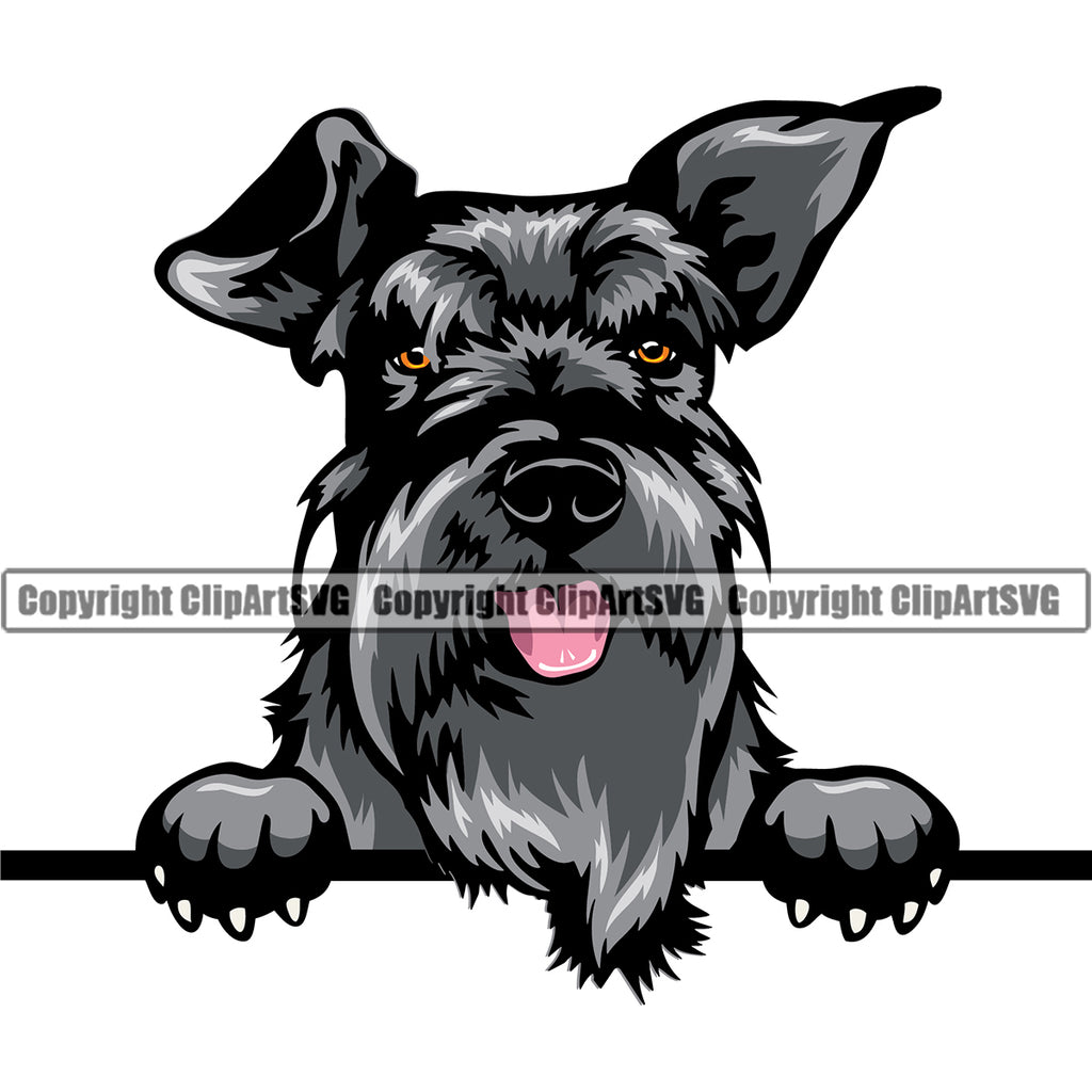Schnauzer Dog Peeking Smile Face Design Purebred Pedigree Canine K-9 K9 Animal Portrait Doggy Face Cute Puppy Pup Head Vector Clipart SVG