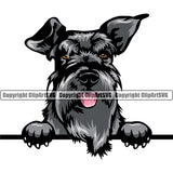 Schnauzer Dog Peeking Smile Face Design Purebred Pedigree Canine K-9 K9 Animal Portrait Doggy Face Cute Puppy Pup Head Vector Clipart SVG
