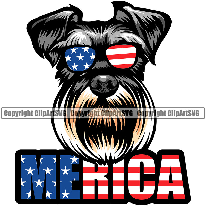Schnauzer Dog Wearing Sunglasses With Color Merica Text USA Flag Design Smile Face Puppy Pup Head Purebred Pedigree Canine K-9 K9 Animal Portrait Doggy Face Cute Vector Clipart SVG