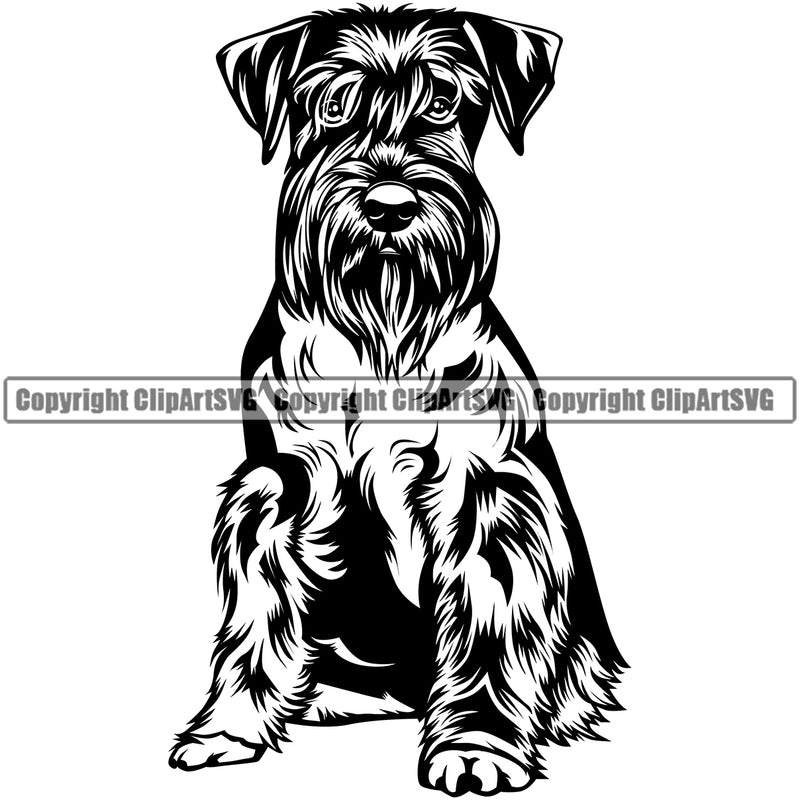 Schnauzer Dog Sitting Design Smile Face Puppy Pup Head Portrait Doggy Face Cute Vector Purebred Pedigree Canine K-9 K9 Animal Clipart SVG