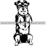 Schnauzer Dog Begging Design Puppy Pup Head Purebred K-9 K9 Animal Portrait Doggy Face Cute Pedigree Canine Vector Clipart SVG