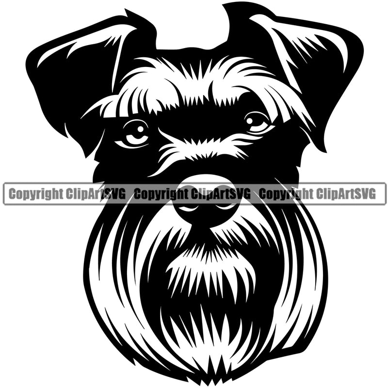 Schnauzer Dog Color Head Smile Face Design Puppy Canine K-9 K9 Animal Portrait Doggy Face Cute Vector Pup Head Purebred Pedigree Clipart SVG