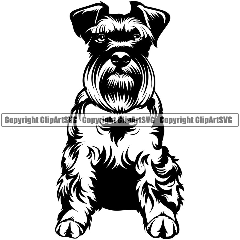 Schnauzer Dog Sitting Design Purebred Pedigree Canine K-9 K9 Animal Portrait Puppy Pup Head Doggy Face Cute Vector Clipart SVG