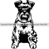 Schnauzer Dog Sitting Design Purebred Pedigree Canine K-9 K9 Animal Portrait Puppy Pup Head Doggy Face Cute Vector Clipart SVG