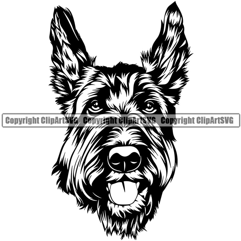 Scottish Terrier Dog Head Design Element Puppy Pup Head Purebred Pedigree Canine K-9 K9 Animal Portrait Doggy Face Cute Body Vector Clipart SVG