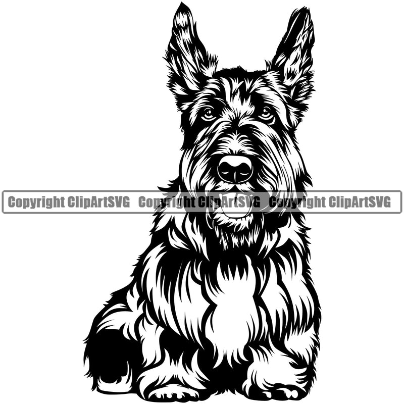 Scottish Terrier Dog Sitting Design Element Puppy Pup Canine K-9 K9 Animal Portrait Doggy Face Cute Body Vector Head Purebred Pedigree Clipart SVG