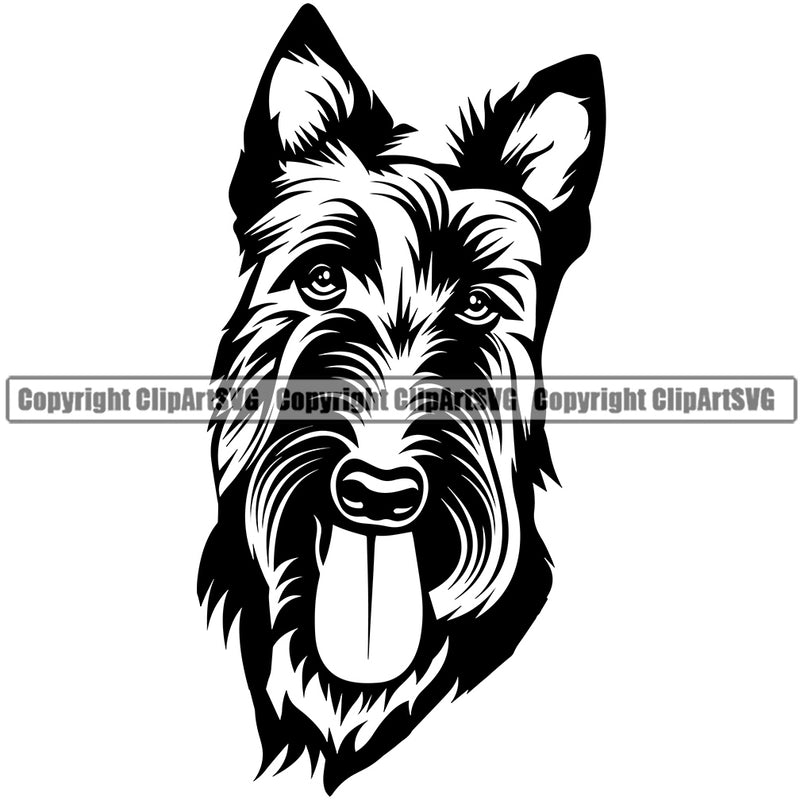 Scottish Terrier Dog Smile Face Design Puppy Pup Head Purebred Pedigree Canine K-9 K9 Animal Portrait Doggy Face Cute Vector Clipart SVG