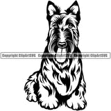 Scottish Terrier Dog Sitting Design Element Puppy Smile Face Head Purebred Pedigree Canine K-9 K9 Animal Portrait Doggy Face Cute Body Vector Clipart SVG