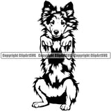 Shetland Sheepdog Begging Design Element Puppy Pup Head Purebred Pedigree Canine K-9 K9 Animal Portrait Doggy Face Cute Body Vector Clipart SVG