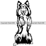 Shetland Sheepdog Begging Design Element Puppy Pup Head Purebred Pedigree Canine K-9 K9 Animal Portrait Doggy Cute Body Happy Face Vector Clipart SVG
