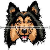Shetland Sheepdog Color Head Smile Face Design Element Puppy Pup Head Purebred Pedigree Canine K-9 K9 Animal Portrait Doggy Face Cute Body Vector Clipart SVG