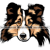 Shetland Sheepdog Color Head Design Element Pedigree Canine K-9 K9 Animal Portrait Face Cute Body Puppy Pup Head Purebred Doggy Vector Clipart SVG