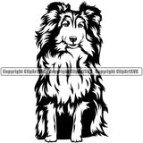 Shetland Sheepdog Sitting Design Element Puppy Pup Head Purebred Pedigree Canine K-9 K9 Animal Portrait Doggy Face Cute Full Body Vector Clipart SVG