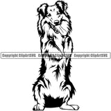 Shetland Sheepdog Begging Design Element Smile Face Puppy Pup Head Purebred Pedigree Canine K-9 K9 Animal Portrait Doggy Face Cute Body Vector Clipart SVG