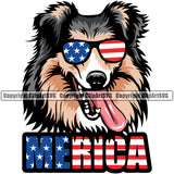 Shetland Sheepdog Wearing Sunglasses With Color Merica Text Design Element USA Flag Puppy Pup Head Purebred Pedigree Canine K-9 K9 Animal Portrait Doggy Face Cute Body Vector Clipart SVG