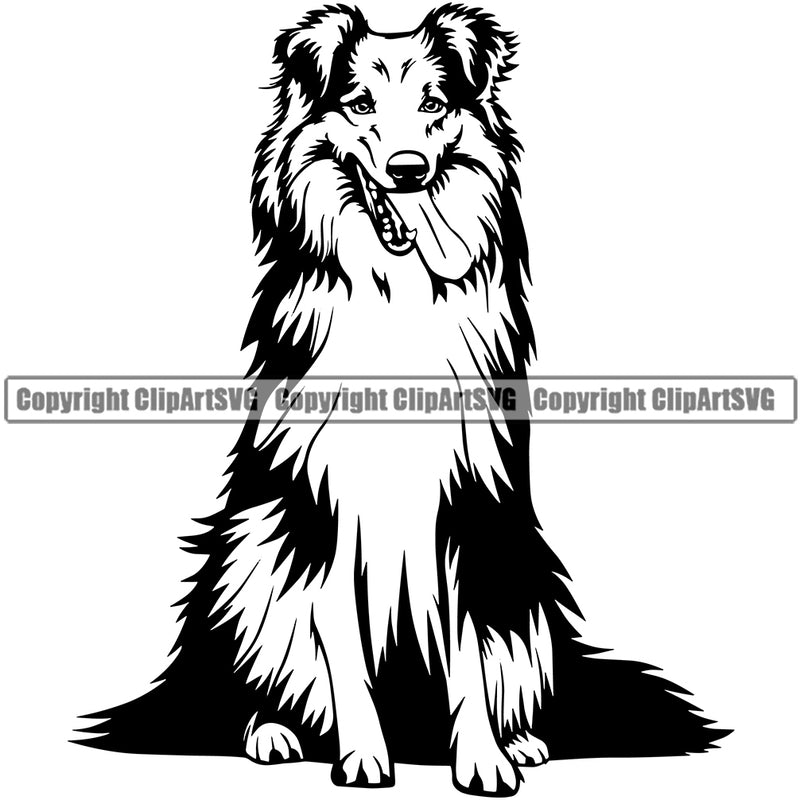 Shetland Sheepdog Sitting Design Element Puppy Pup Head Purebred Pedigree Smile Face Canine K-9 K9 Animal Portrait Doggy Face Cute Body Vector Clipart SVG