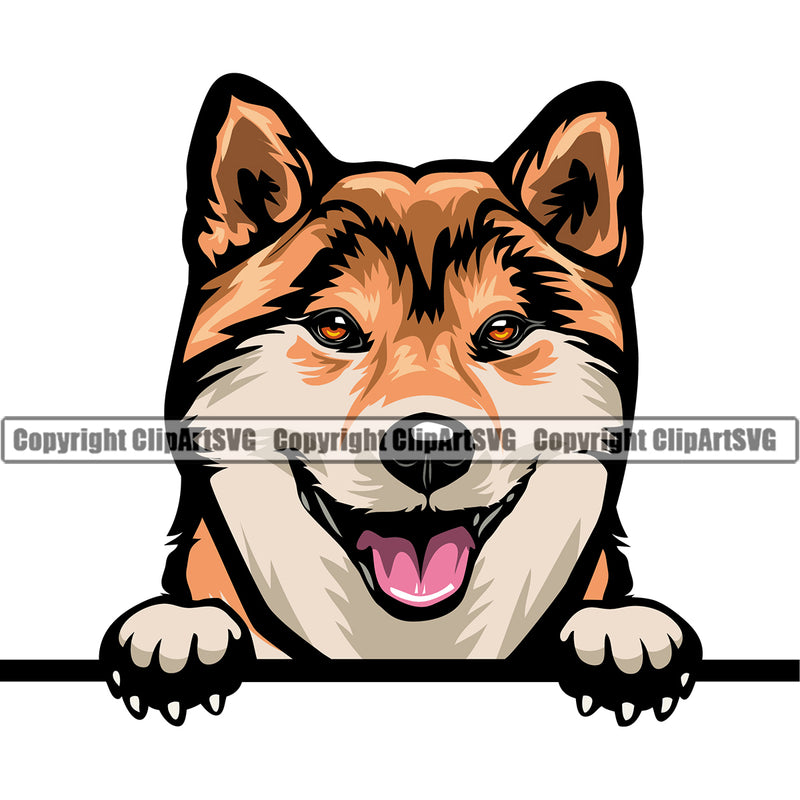 Shiba Inu Dog Peeking Design Element Color Head Smile Face Puppy Pup Head Purebred Pedigree Canine K-9 K9 Animal Portrait Doggy Face Cute Body Vector Clipart SVG