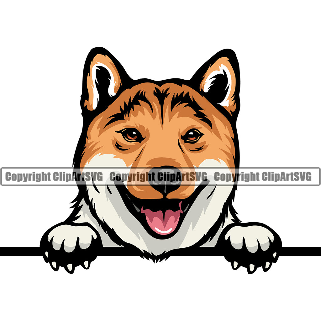 Shiba Inu Dog Peeking Position Smile Face Design Element Pedigree Canine K-9 K9 Animal Portrait Doggy Face Cute Body Puppy Pup Head Purebred Vector Clipart SVG